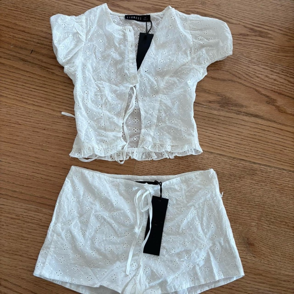 Lioness set - Picture 3 of 3